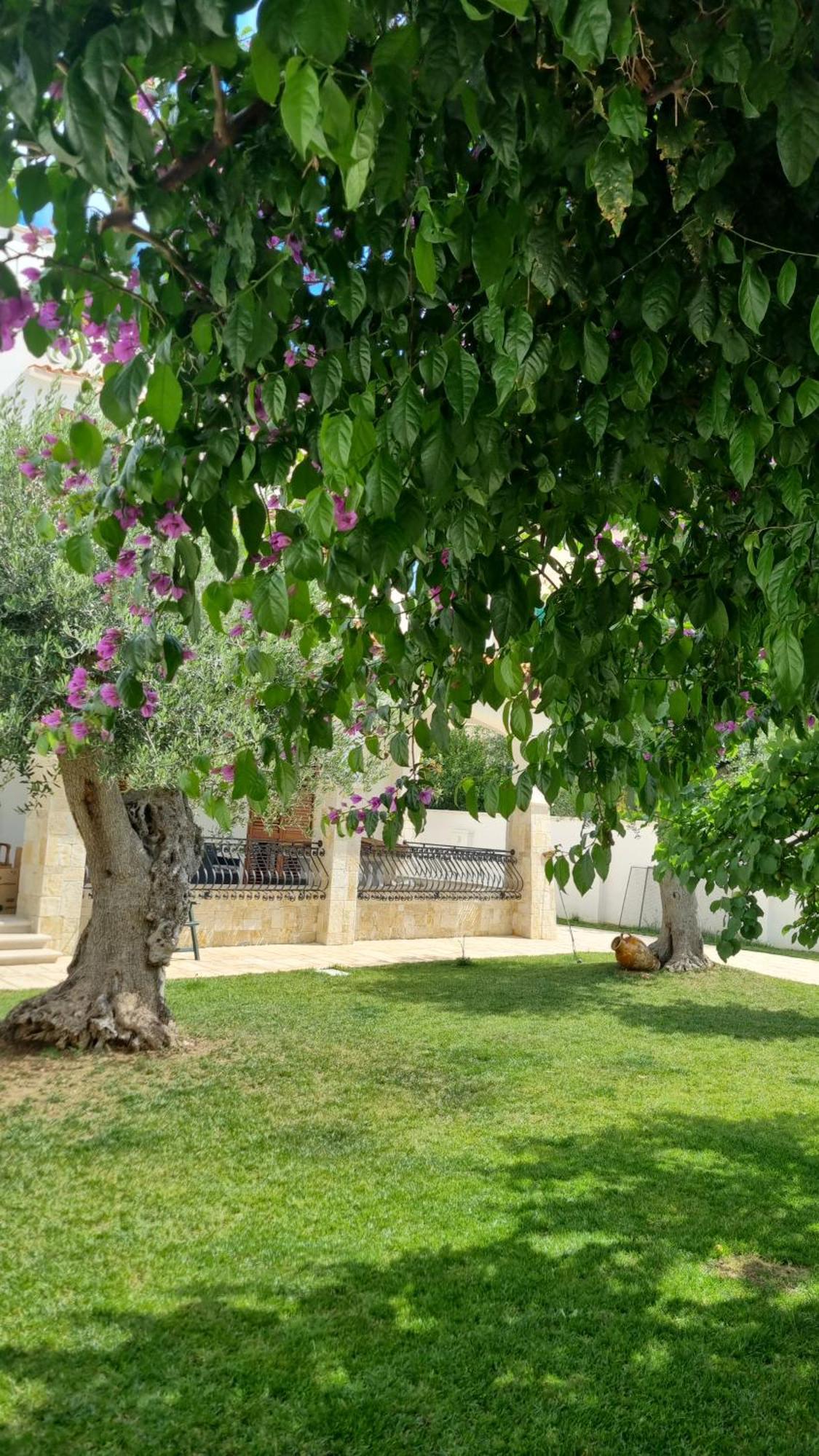 Villa Guajira Bari Exterior foto